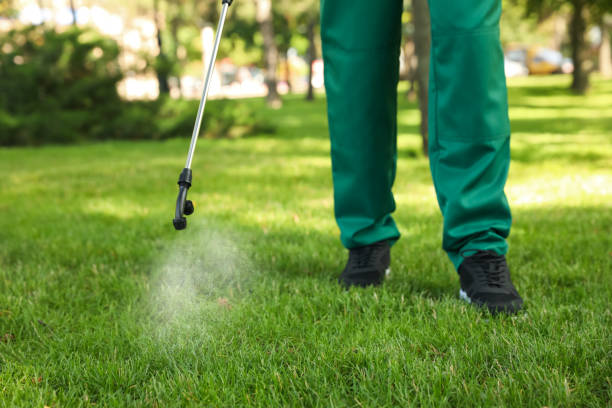 Best Pest Prevention Services  in Huntington Bay, NY