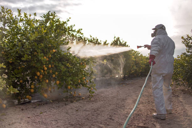 Best Commercial Pest Control Services  in Huntington Bay, NY